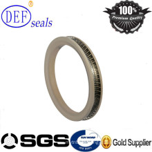 OEM Certificated Spring Energized PTFE Seal